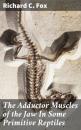Скачать The Adductor Muscles of the Jaw In Some Primitive Reptiles - Richard C. Fox