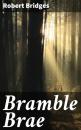 Скачать Bramble Brae - Bridges Robert