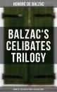 Скачать Balzac's Celibates Trilogy: Pierrette, The Vicar of Tours & The Black Sheep - Honore de Balzac