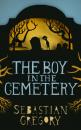 Скачать The Boy In The Cemetery - Sebastian Gregory