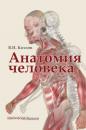 Скачать Анатомия человека. Учебник для медицинских вузов - В. И. Козлов