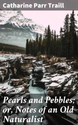 Pearls and Pebbles; or, Notes of an Old Naturalist - Catharine Parr Traill 