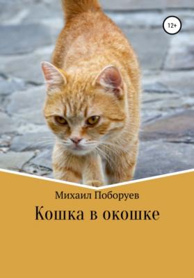 Кошка в окошке - Михаил Владимирович Поборуев 