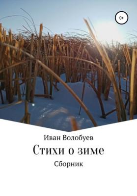 Стихи о зиме - Иван Алексеевич Волобуев 