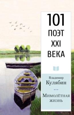 Мимолётная жизнь - Владимир Кулябин 101 поэт XXI века