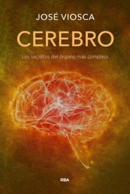 Cerebro - José Viosca 