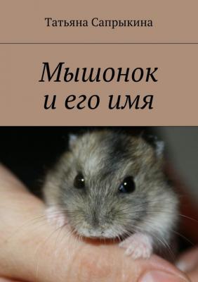 Мышонок и его имя - Татьяна Сапрыкина 