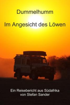 Dummelhumm - Im Angesicht des Löwen - Stefan Sander 