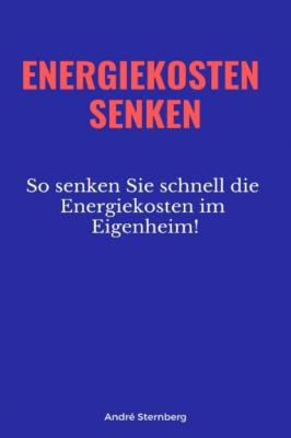 Energiekosten senkenEnergiekosten senken - André Sternberg 
