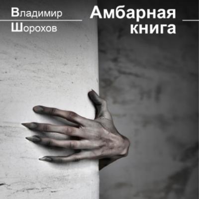 Амбарная книга - Владимир Леонидович Шорохов 