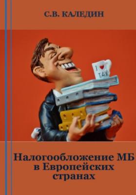 Налогообложение МБ в Европейских странах - Сергей Каледин 