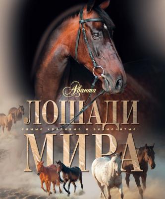 Лошади мира - Карина Кищук Самые красивые и знаменитые