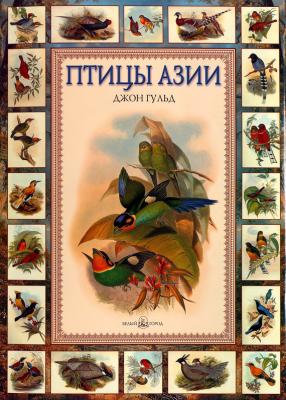 Птицы Азии - Евгений Коблик Красота природы
