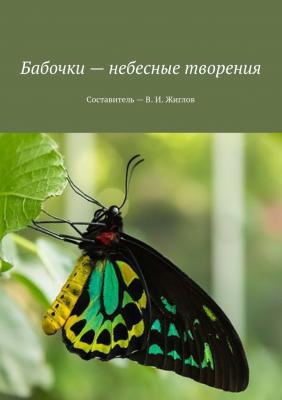 Бабочки – небесные творения - В. И. Жиглов 