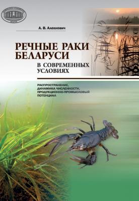 Речные раки Беларуси в современных условиях - А. В. Алехнович 