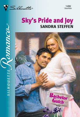Sky's Pride And Joy - Sandra  Steffen 