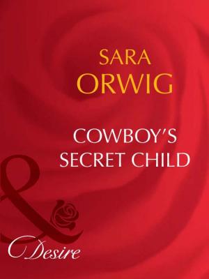 Cowboy's Secret Child - Sara  Orwig 