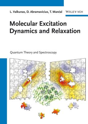 Molecular Excitation Dynamics and Relaxation. Quantum Theory and Spectroscopy - Leonas  Valkunas 