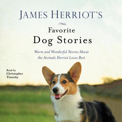 James Herriot's Favorite Dog Stories - James  Herriot 