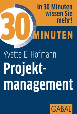 30 Minuten Projektmanagement - Yvette E.  Hofmann 30 Minuten