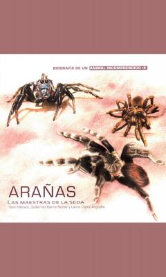 Arañas - Laura López Argoytia Biografía de un animal incomprendido
