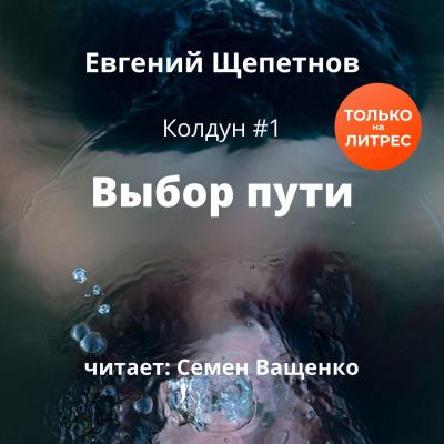 Выбор пути - Евгений Щепетнов Колдун
