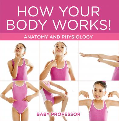 How Your Body Works! | Anatomy and Physiology - Baby Professor 