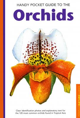 Handy Pocket Guide to Orchids - David P. Banks Handy Pocket Guides