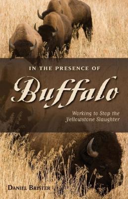 In the Presence of Buffalo - Daniel Brister The Pruett Series