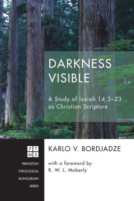Darkness Visible - Karlo V. Bordjadze Princeton Theological Monograph Series