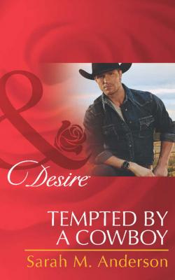 Tempted by a Cowboy - Sarah M. Anderson 