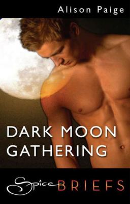 Dark Moon Gathering - Alison  Paige 