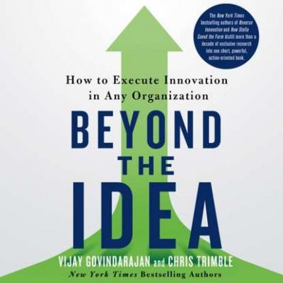 Beyond the Idea - Vijay  Govindarajan 
