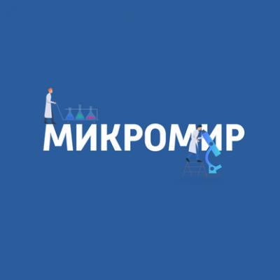 Кишечная палочка - Картаев Павел Микромир