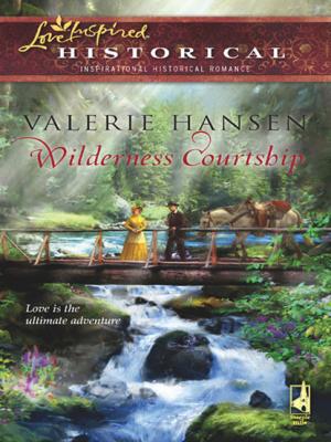 Wilderness Courtship - Valerie  Hansen Mills & Boon Historical