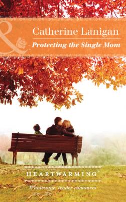 Protecting The Single Mom - Catherine Lanigan Mills & Boon Heartwarming