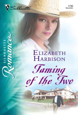 Taming of the Two - Elizabeth Harbison Mills & Boon Silhouette