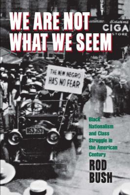 We Are Not What We Seem - Roderick D. Bush 