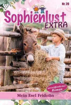 Sophienlust Extra 20 – Familienroman - Gert Rothberg Sophienlust Extra