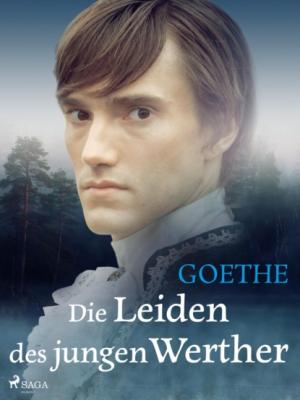 Die Leiden des jungen Werther - Johann Wolfgang von Goethe 