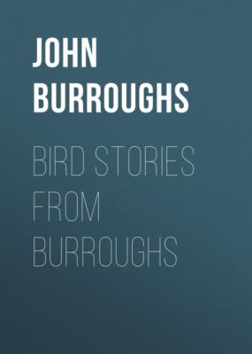 Bird Stories from Burroughs - John Burroughs 