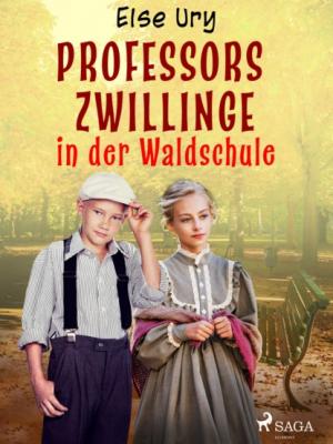 Professors Zwillinge in der Waldschule - Else Ury 2