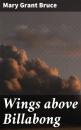 Скачать Wings above Billabong - Mary Grant Bruce