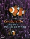 Скачать Korallenriffe - Peter van Treeck