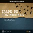 Скачать Tarde de Golondrinas (abreviado) - Hector Manuel Castro