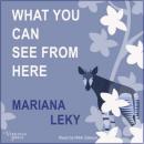 Скачать What You Can See from Here (Unabridged) - Mariana Leky
