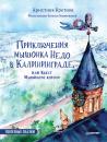 Скачать Приключения мышонка Недо в Калининграде, или Квест мышиного короля. Полезные сказки - Кристина Кретова