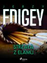 Скачать Strzała z Elamu - Jerzy Edigey
