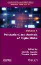 Скачать Perceptions and Analysis of Digital Risks - Группа авторов