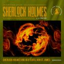 Скачать Sherlock Holmes und der Teufel von St. James (Ungekürzt) - J. J. Preyer